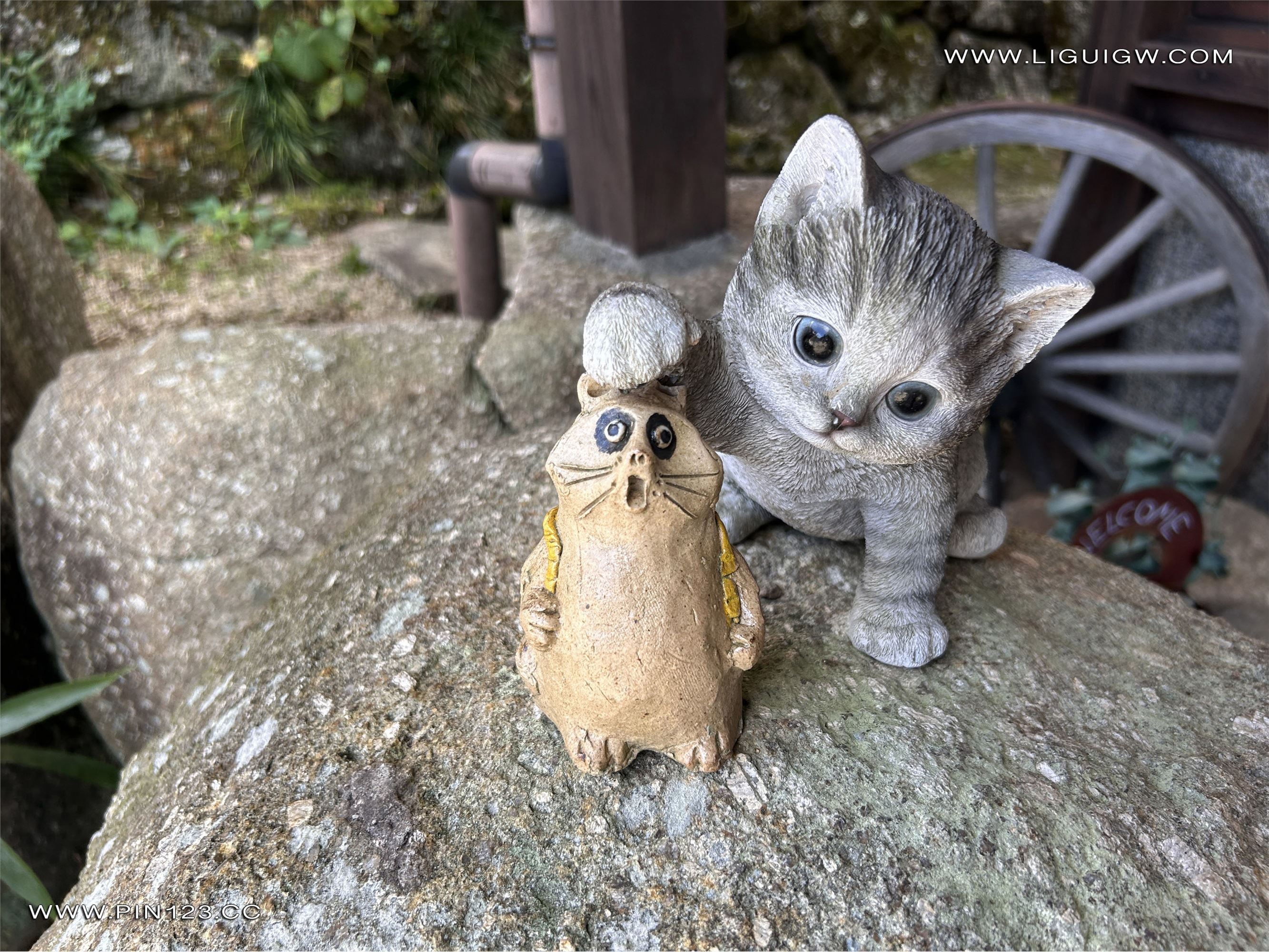 Ligui丽柜  2024.11.14 日本旅拍3 兔子